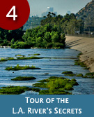 http://mindshare50.com/mailers/images/activities/lariver.jpg